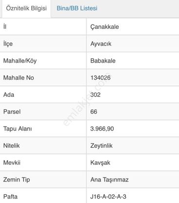 Eu Gayrimenkul'den Çanakkale Ayvacık Babakale'de Denize Yakın 4 Dönüm Zeytinlik