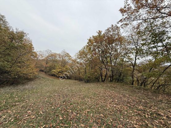 İzmit Nebihoca Yatırımlık 4589m² Satılık Tarla