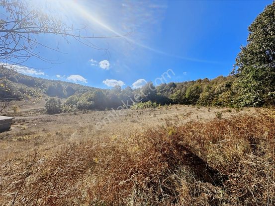 Gebze'de Yatırıma Uygun Geniş Metrajlı Satılık Tarla -fırsat