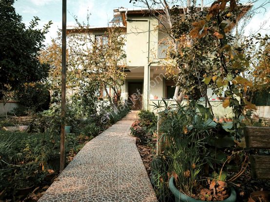 Burhaniye Taylıelinde Satılık Geniş Bahçeli Satılık