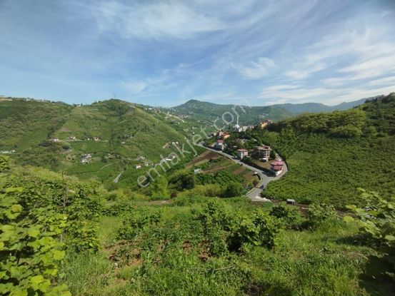 Sahibinden Akyazı Camii
