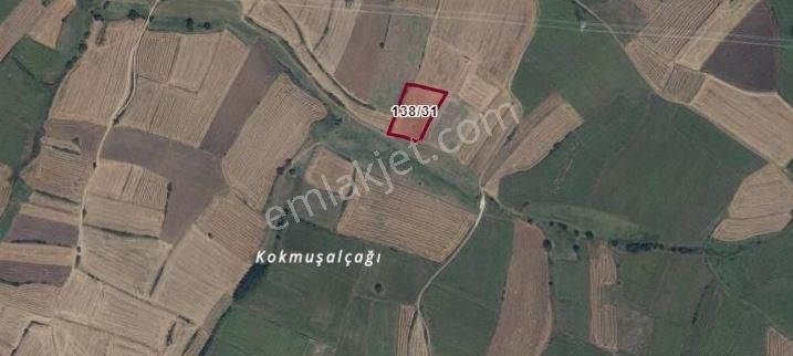 Çakıllı/hürriyet 443 M2 Hisse