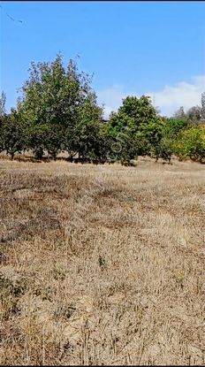 Sakarya Geyve Karacaören Satılık Arsa