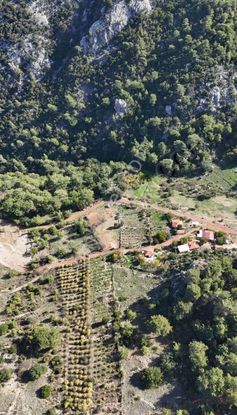 07 Truva Emlaktan Kumluca Adresanda Satılık Arazi