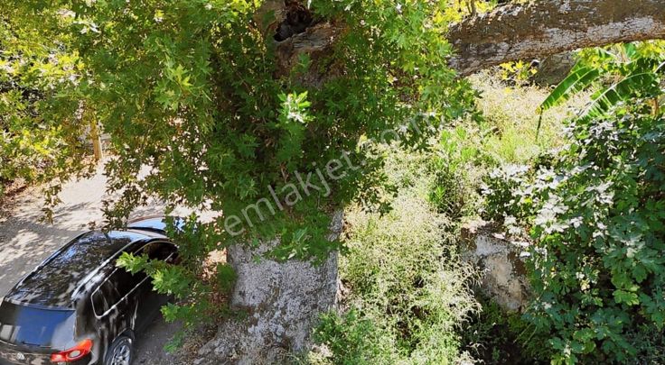 07 Truva Emlaktan Olimpos Ta Müstakil Tapu Satılık Köyiçinde