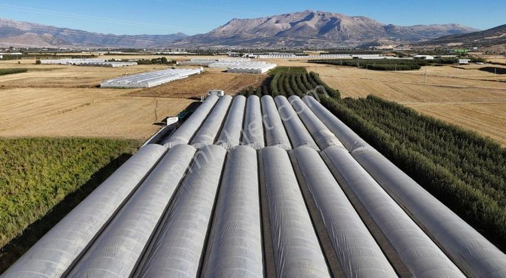 07 Truva Emlaktan Elmalı Yakaçiftlik Köyünde Satılık Sera