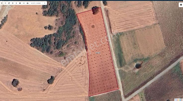 Akev'den Yenişehir Mahmudiye'de Yola 200 M Cepheli Ceviz Tarlası