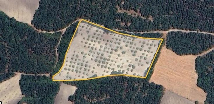 Balıkesir Savaştepe Karaçam Satılık Tarla C21 Bal 'dan