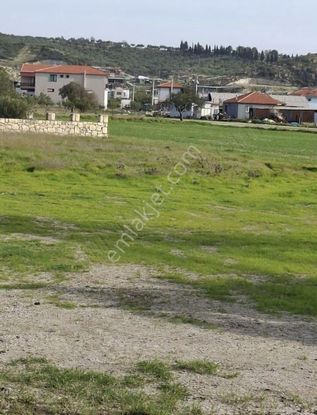 Foça Gerenköyde 1180 M2 Kupon Bahçe Satılıktır