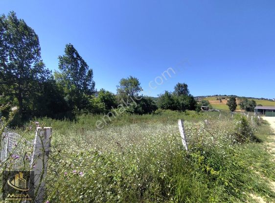 Mrm Gayrimenkul'den Satılık Dağyenice Satılık Tarla