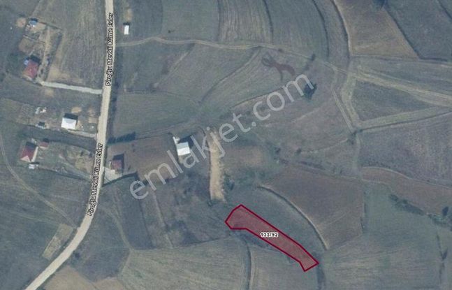 Kocaeli Kandıra Terziler Mahallesi'nde 1.195m2 Satılık Tarla