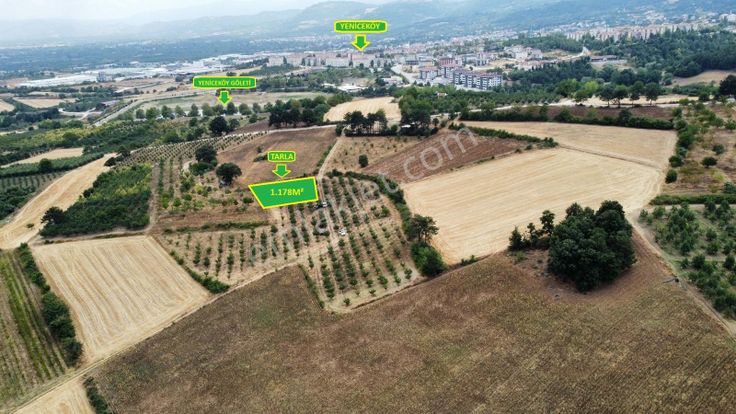 Ulucan'dan İnegöl Yeniceköy'de Satılık Erik Tarlası