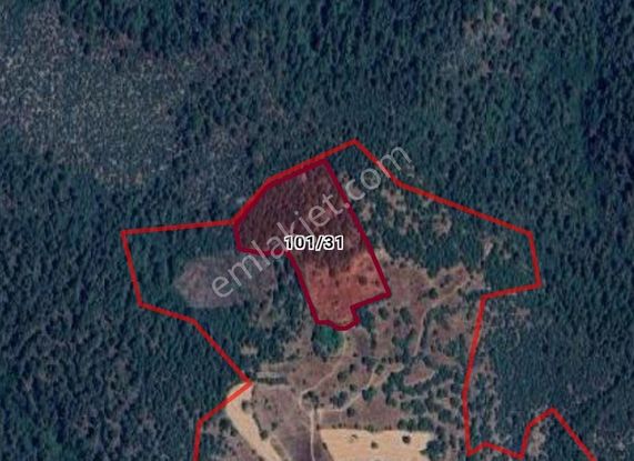 Cb Black'tan Büyükorhan Piribeyler'de 18.900 M2 Satılık Tarla