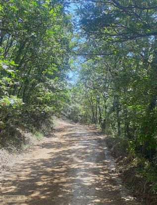 Biga Bezirganlar'da Tek Tapu Satılık Fırsat Tarla