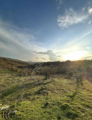 İmara 650 M 80.000 M2 Yatırım Fırsatı