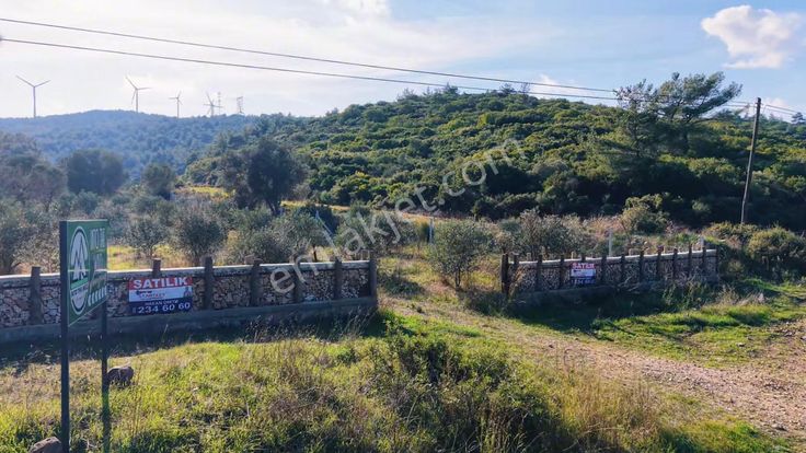 Urla Nohutalan Köyünde Yatırımlık Zeytin Ağaçlı Tarla