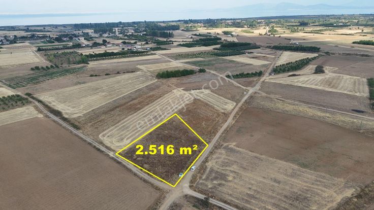 Konya / Beyşehir / Gölyaka 2.516 M² Köşe Parsel Göle Yakın Müstakil Tarla