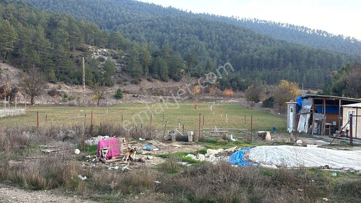 Burdur Ağlasun Hisarköyde Satılık Çiftlik Ve Besihane