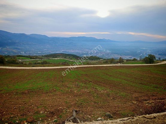 Remax Mavi'den Sakarya Geyve Akkaya'da Manzaralı Satılık Arazi