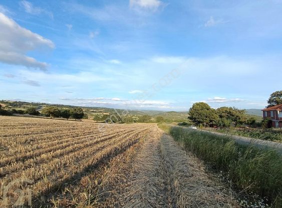 C21 Loca'dan Ana Yola Cephe 15800m2 Tarla