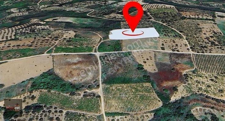 Şarköy Hoşköy De Satılık Tarla