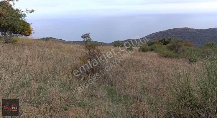 Uçmakdere'de Turistik Bungolov Projelerine Yakın 1657 M2 Tarla