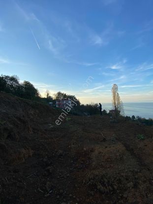 Rize Derepazarı Satılık Deniz Manzaralı