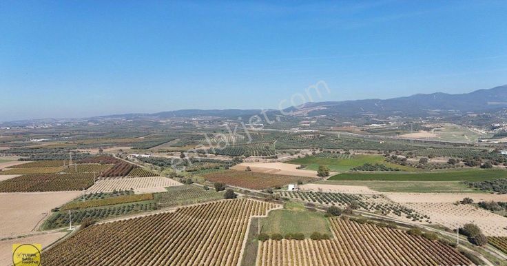 Turpa'dan Musalar Yeniköyde Satılık Tek Tapu Arazi