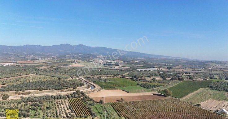 Turpa'dan Musalar Yeniköyde Satılık Verimli Arazi