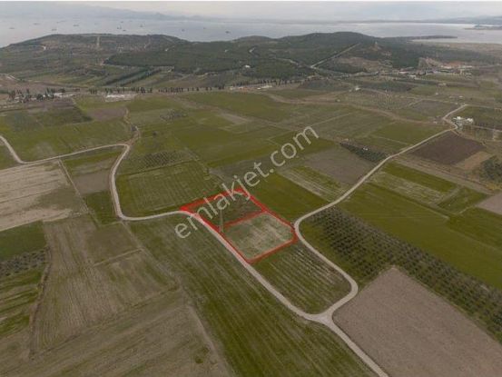 Aliağa Yalı Mahallesinde 5 Dönüm Satılık Tarla