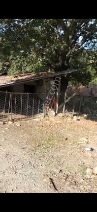 Sahibinden Satılık Köy Evi