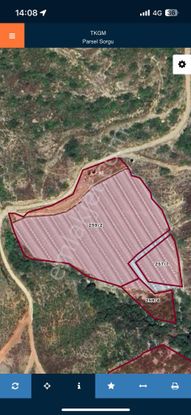 Güney Mahallesinde 12 Dönüm Muz Serası