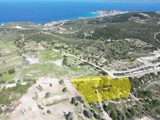 İzmir Karaburun Mordoğan'da Yatırımlık Asfalt Yola Cepheli Tarla