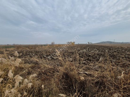 Erkan Anbar Dan Satılık Tarla Suluova