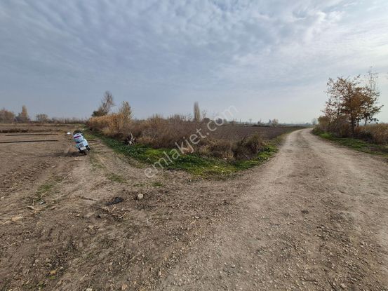 Erkan Anbar Dan Satılık Tarla Suluova