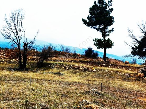 Kar Emlaktan Alpu Yaylasında 400 M2 Satılık Arsa