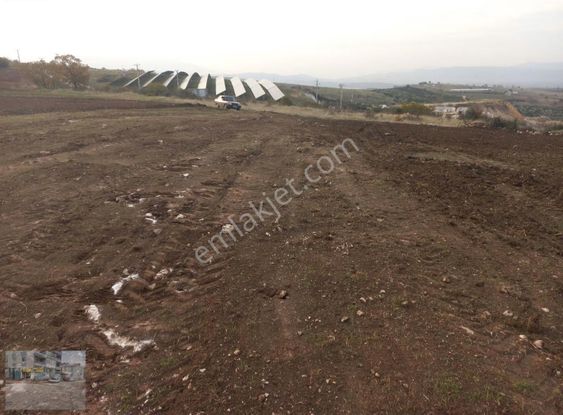 Yenisehir Osmaniye Mahallesinde