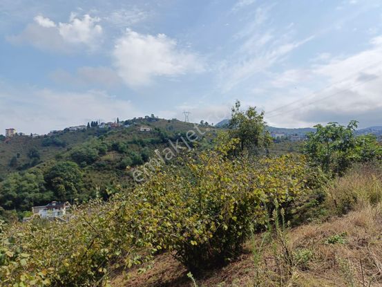 Uğurlu Da 2 Dönüm Yolu Açılmış Deniz Manzaralı Arazi