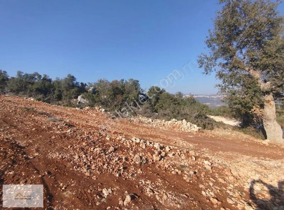 İmarlı Köy İçi Arsa Konumunda Arsamız Yeni Sahibini Beklemektdir