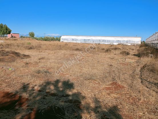 Vega Invest'ten Kepez Kızıllıda Yatırımlık Arazi