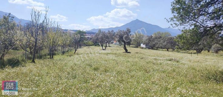 Kemalpaşa'da İmara Çok Yakın 2600 M2 Tarla