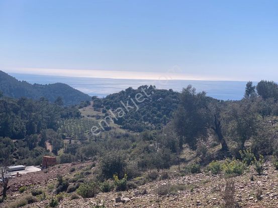 Goldhouse Dan Karaağaç Kirme De Satılık Deniz Manzaralı Tarla