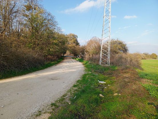 Ege Gayrimenkul'den Büyükçavuşlu'da Satılık Tarla