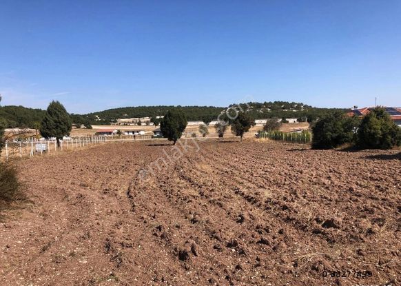 Altınışık'tan Satılık Yenice'de Tarla