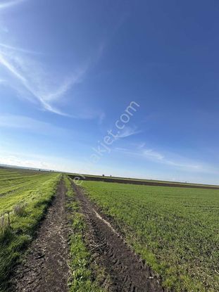 Ergene Esenler Köyü Yatırımlık Tarla