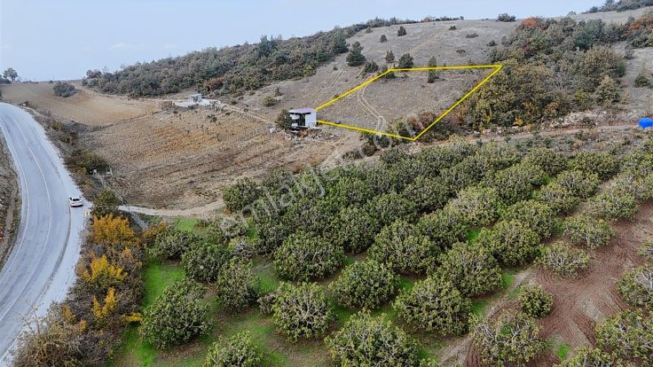 Asfalta 2. Parsel - Köye 1 Km. Mesafede - Etrafı Yanı Mera