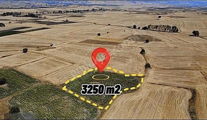 Balıkesir Şamlıda 3.250m² Yatırımlık Tarla