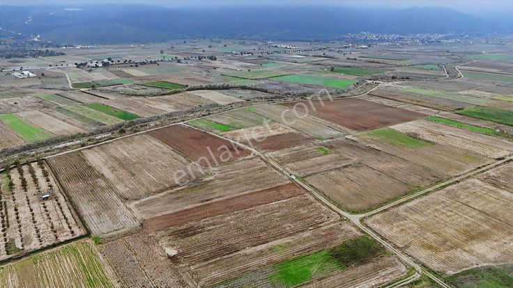 Balnova Dan İvrindi Gökçeyazı Orta Mah 3485 M2 Satılık Tarla