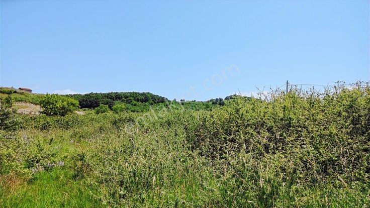 Hallaçlı Köy Merkezinde Fırsat 1250 M