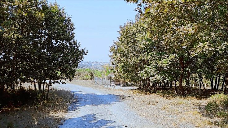 Pendik Kurnaköy Rezerv Alan Da Tek Parsel